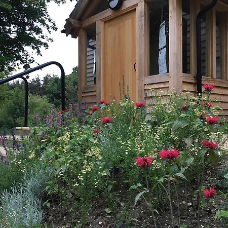 South Downs Eco Lodge & Camping East Meon Eksteriør bilde