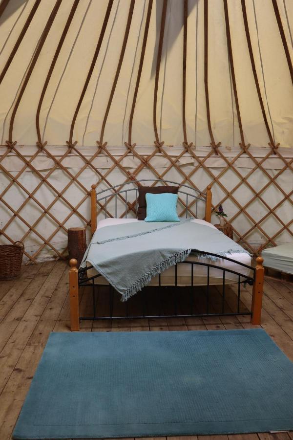 South Downs Eco Lodge & Camping East Meon Eksteriør bilde