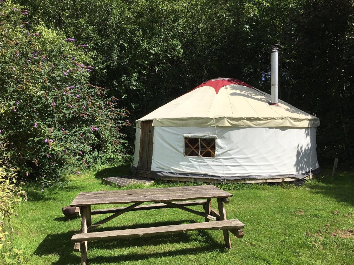 South Downs Eco Lodge & Camping East Meon Eksteriør bilde