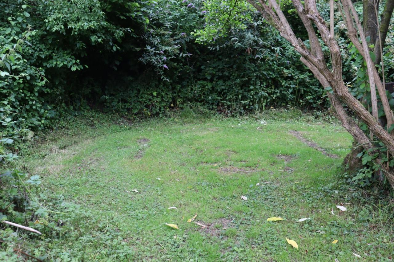 South Downs Eco Lodge & Camping East Meon Eksteriør bilde
