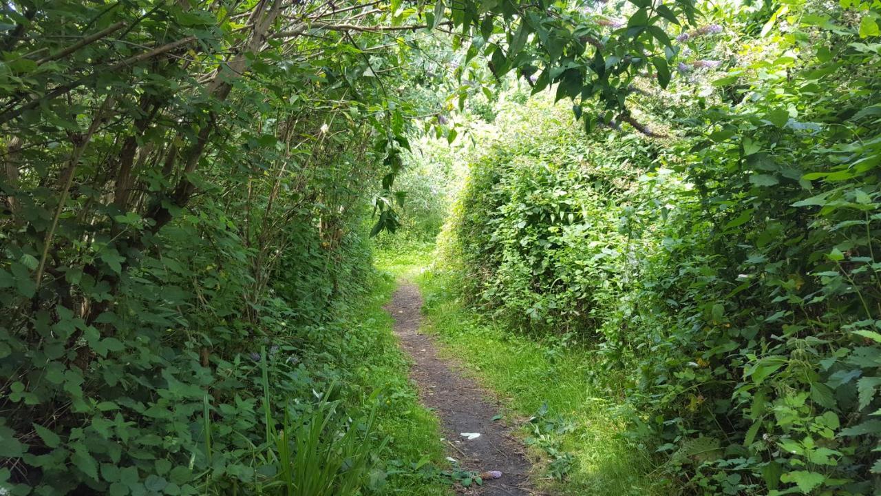 South Downs Eco Lodge & Camping East Meon Eksteriør bilde
