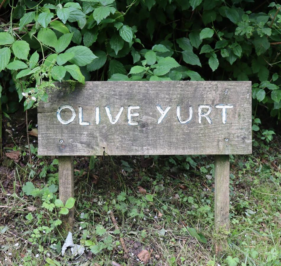 South Downs Eco Lodge & Camping East Meon Eksteriør bilde