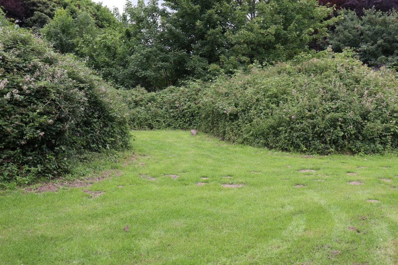 South Downs Eco Lodge & Camping East Meon Eksteriør bilde