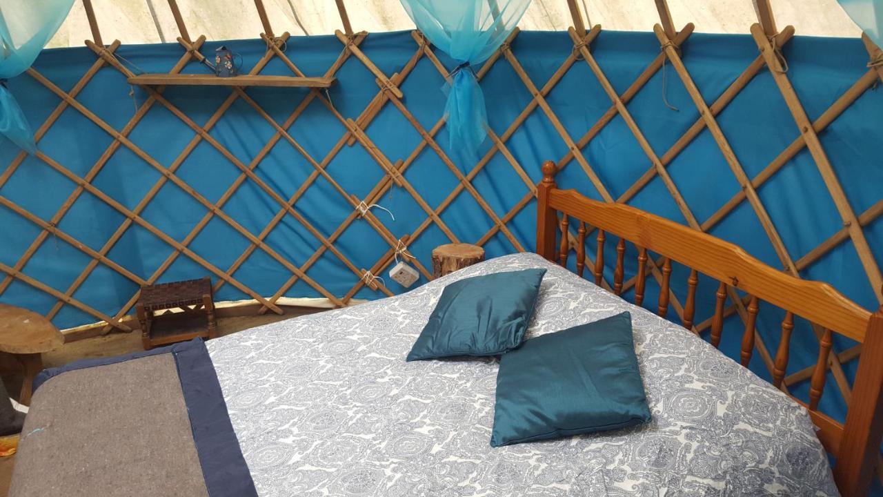 South Downs Eco Lodge & Camping East Meon Eksteriør bilde