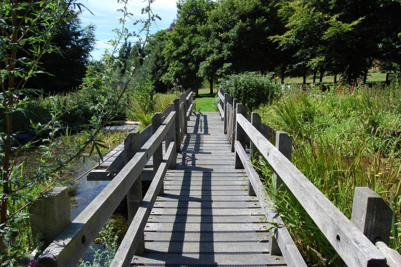 South Downs Eco Lodge & Camping East Meon Eksteriør bilde