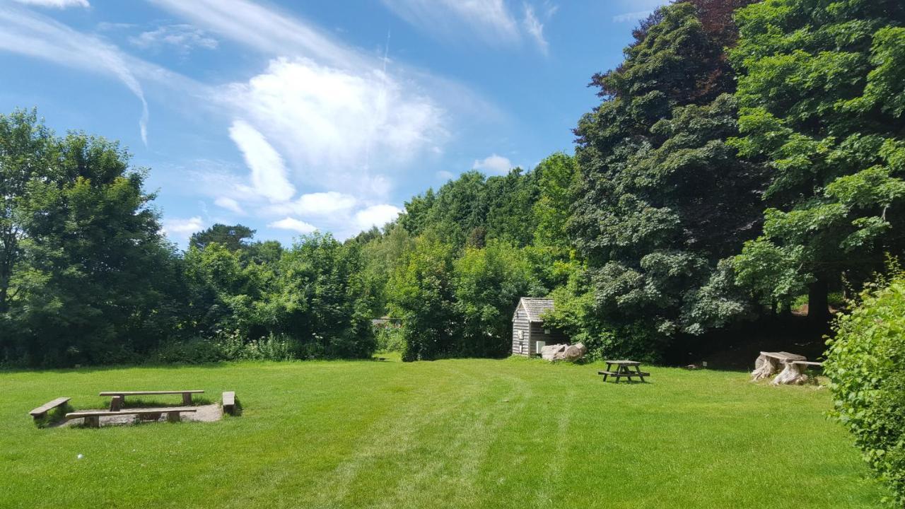 South Downs Eco Lodge & Camping East Meon Eksteriør bilde