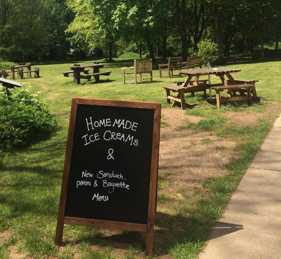 South Downs Eco Lodge & Camping East Meon Eksteriør bilde