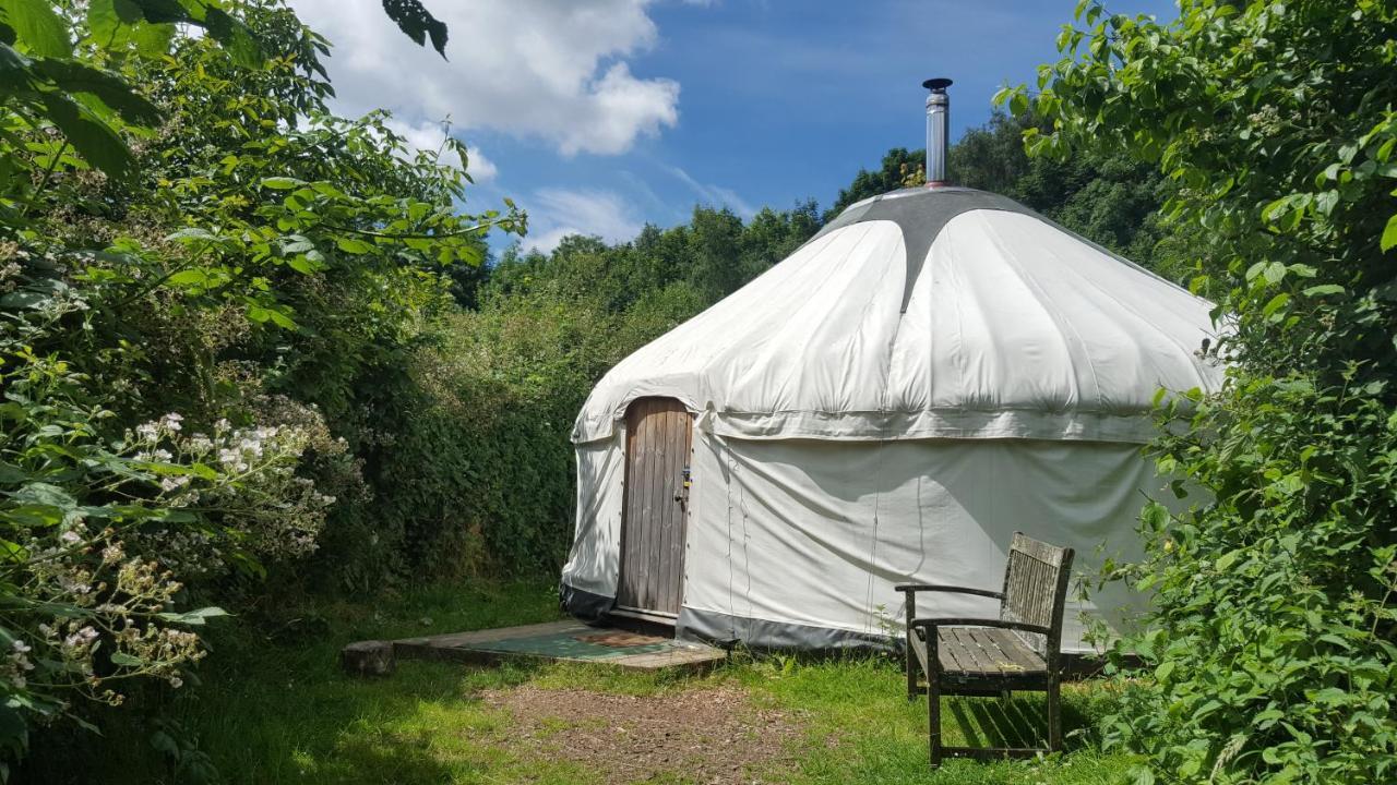 South Downs Eco Lodge & Camping East Meon Eksteriør bilde