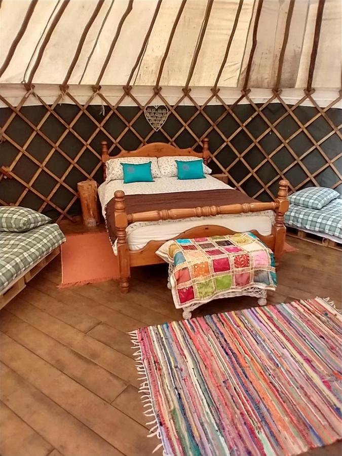 South Downs Eco Lodge & Camping East Meon Eksteriør bilde