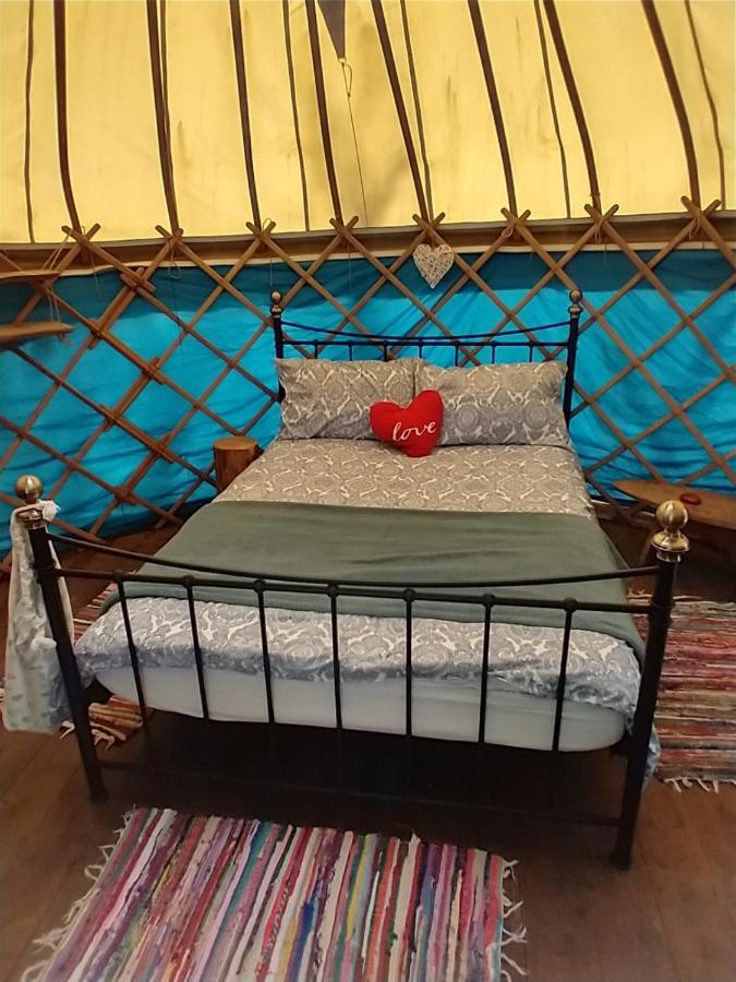 South Downs Eco Lodge & Camping East Meon Eksteriør bilde